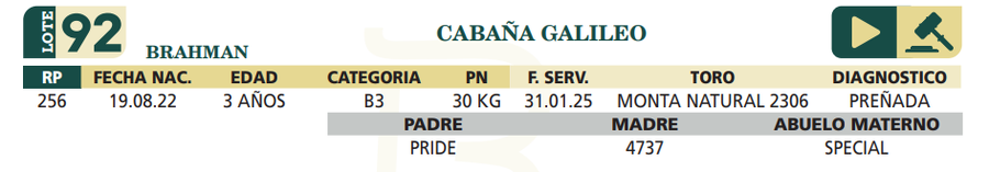 Lote LOTE 92