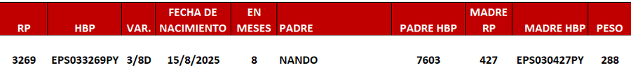 Lote LOTE 2 -DE JUNIOR