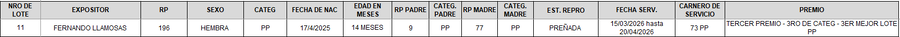 Lote LOTE 11 - CAMPO