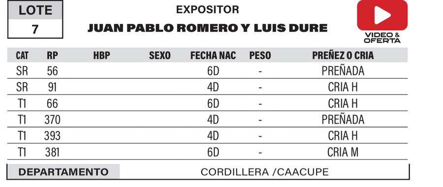 Lote LOTE 7- POR PANTALLA