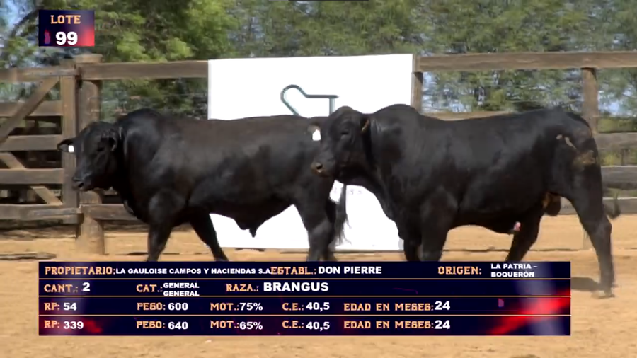 Lote LA GAULOISE CAMPOS Y HACIENDAS SA - LOTE 99