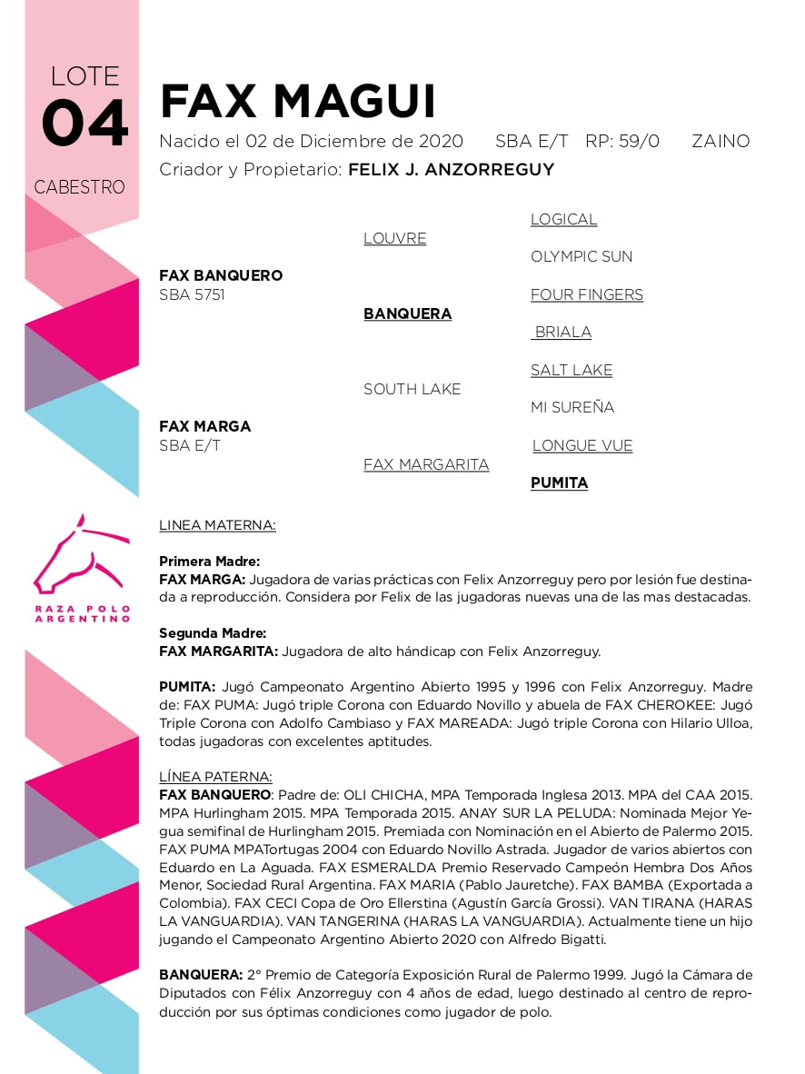 Lote FAX MAGUI (FAX BANQUERO - FAX MARGA)