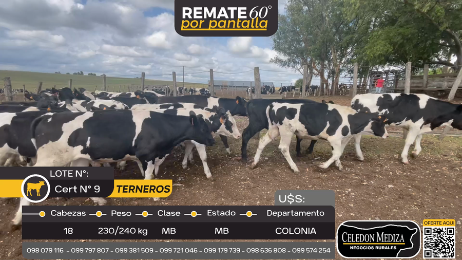 Lote 18 Terneros en Otra Localidad, Colonia