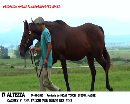 Lote ALTEZZA
