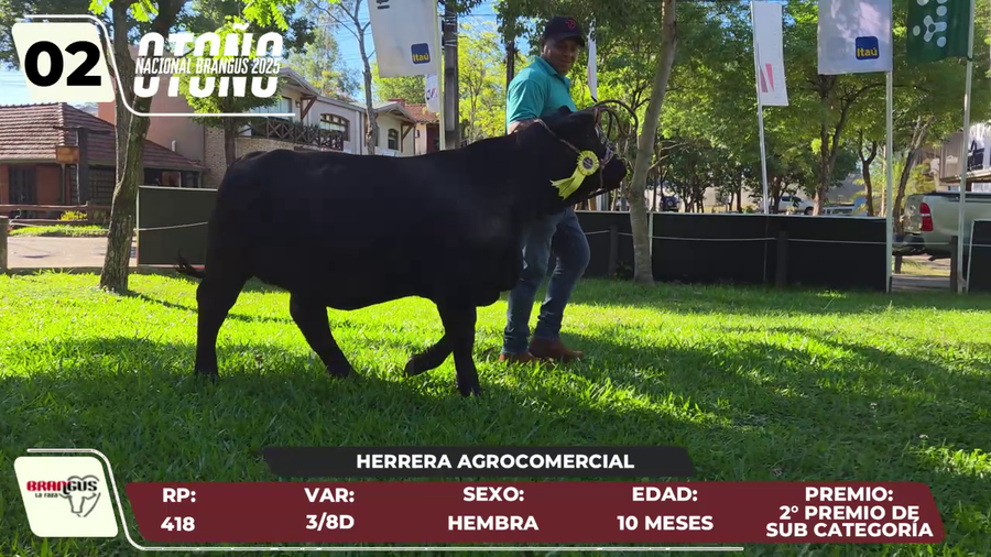 Lote LOTE 2
