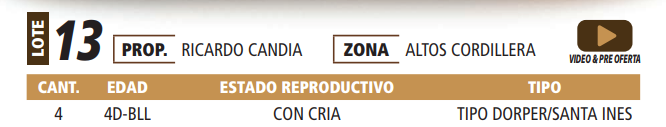 Lote LOTE 13 -POR PANTALLA