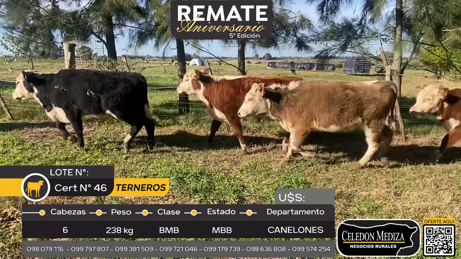 Lote 6 Terneros en  Ruta 6, Canelones