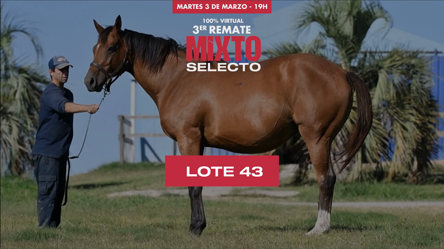 Lote POSSESA ADVANTAGE