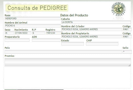 Lote TORO PI - RP 06