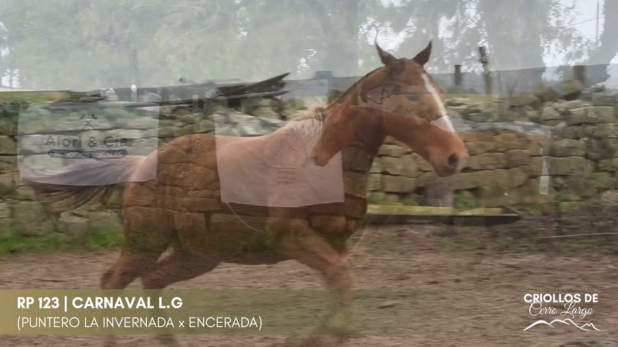 Lote CARNAVAL L.G