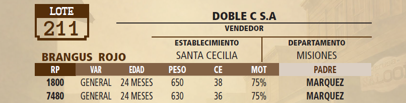 Lote LOTE 211 - VIVO