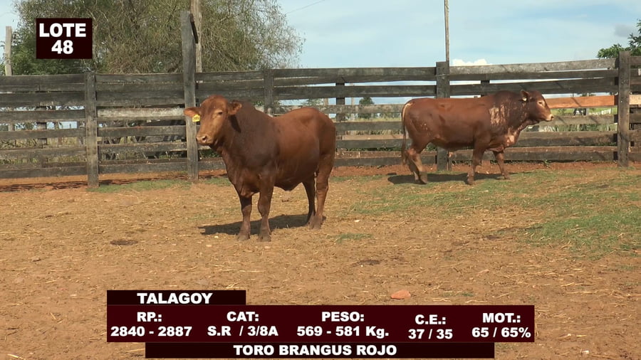 Lote Cabañas de Tradición - Lote 48