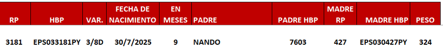 Lote LOTE 5 -DE JUNIOR
