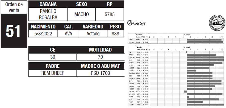 Lote LOTE 51