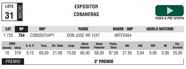 Lote LOTE 31