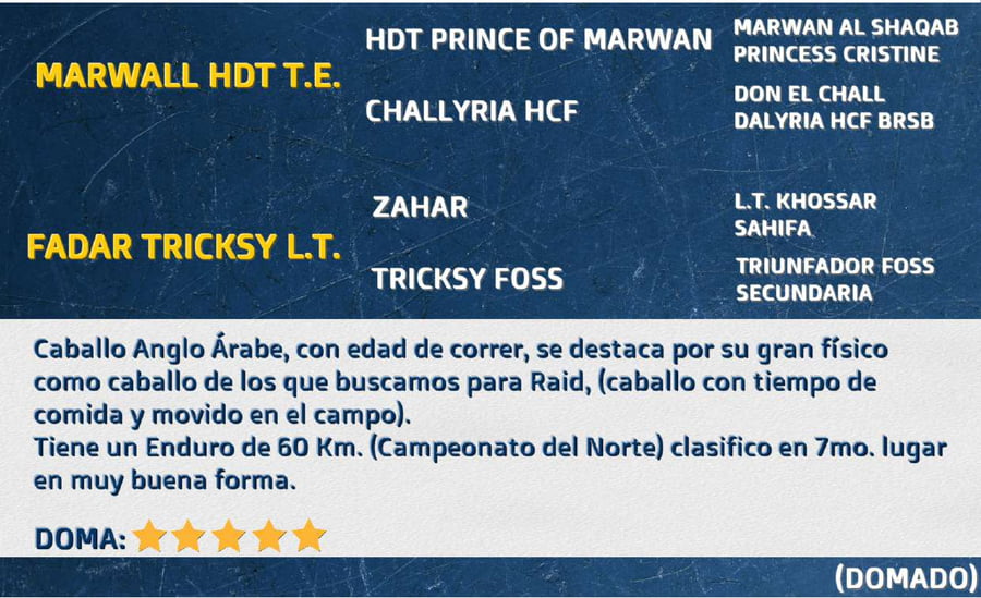 Lote FADAR TRIUNFADOR