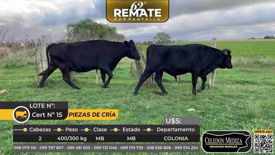 Lote 2 Piezas de cría en Larañaga, a 12 km de Cardona,Soriano