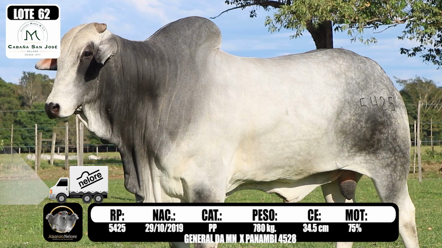 Lote LOTE 62 - RP 5425