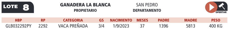Lote LOTE 8