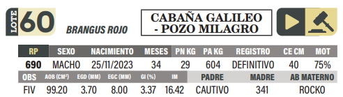 Lote LOTE 60