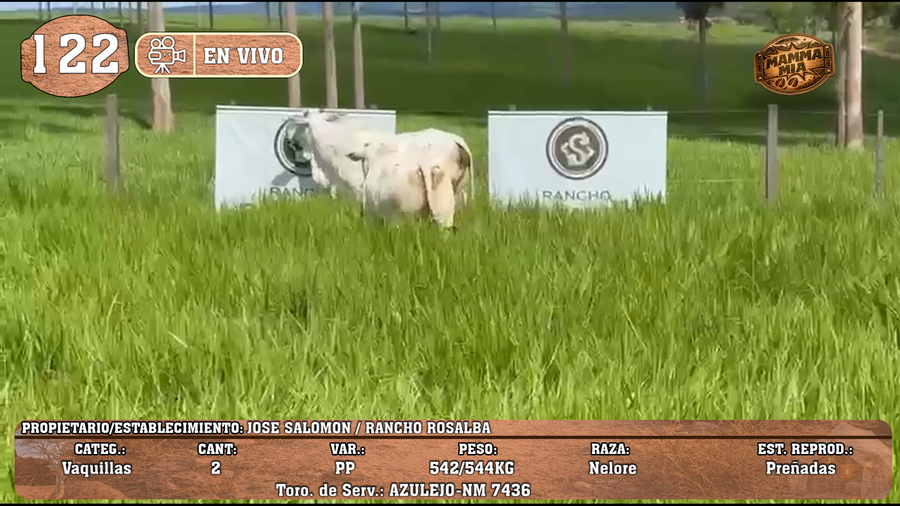 Lote LOTE 122 -EN VIVO