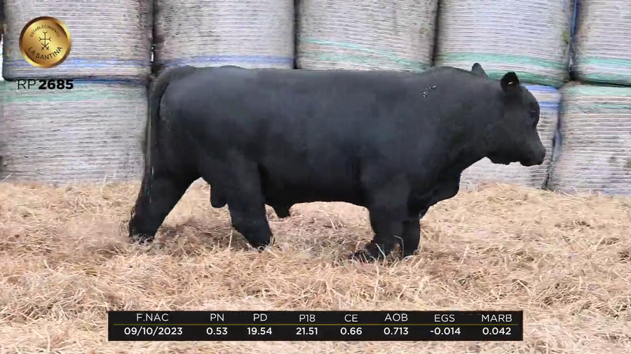 Lote LA SANTINA LA JOYA 1432-2685