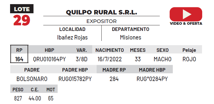 Lote LOTE 29