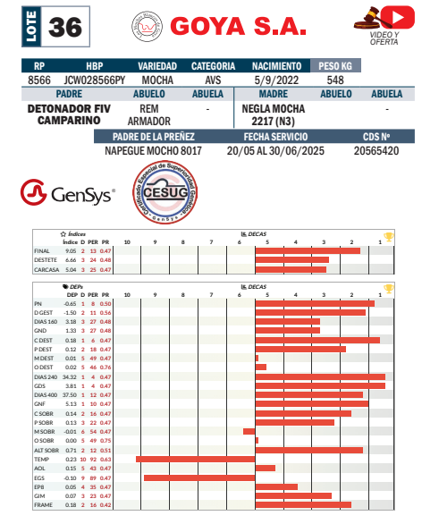 Lote LOTE 36- POR PANTALLA
