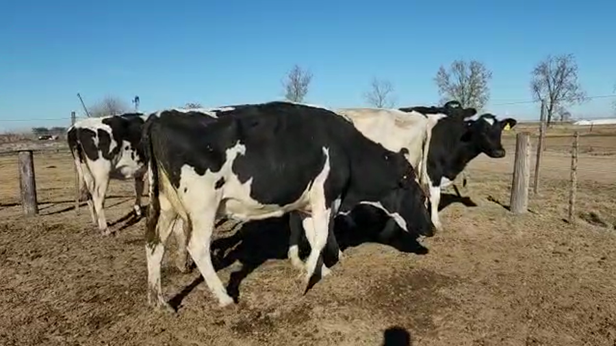 Lote Est. Don Osvaldo - Secas