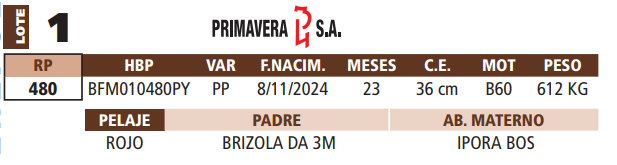 Lote LOTE 1