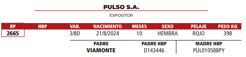 Lote LOTE 8