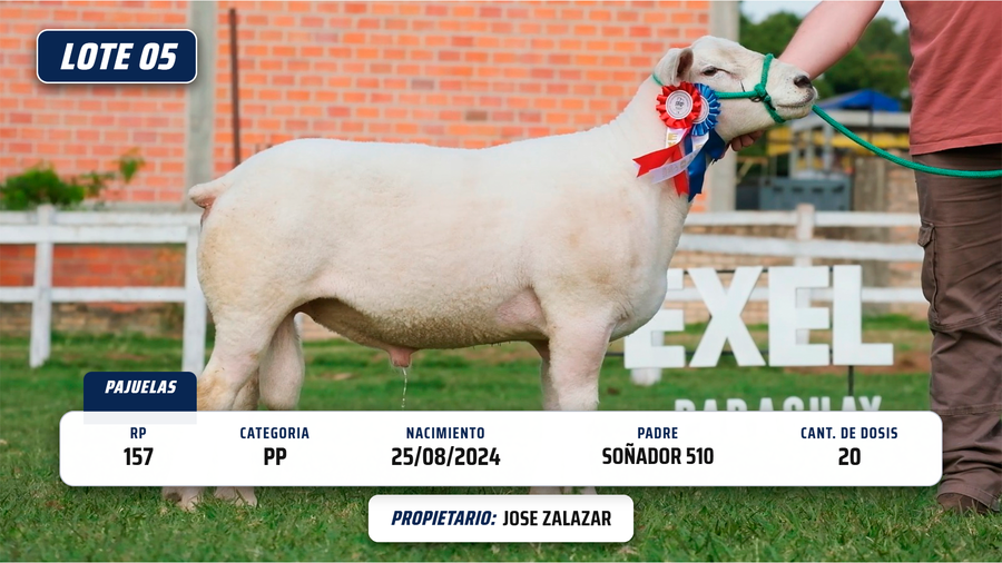 Lote LOTE 5