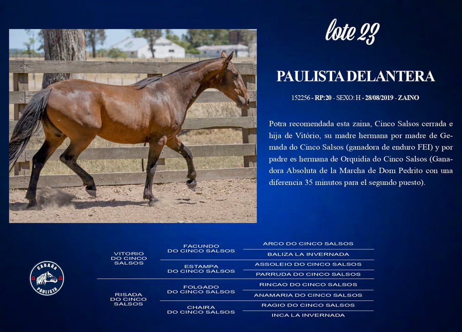 Lote Paulista Delantera