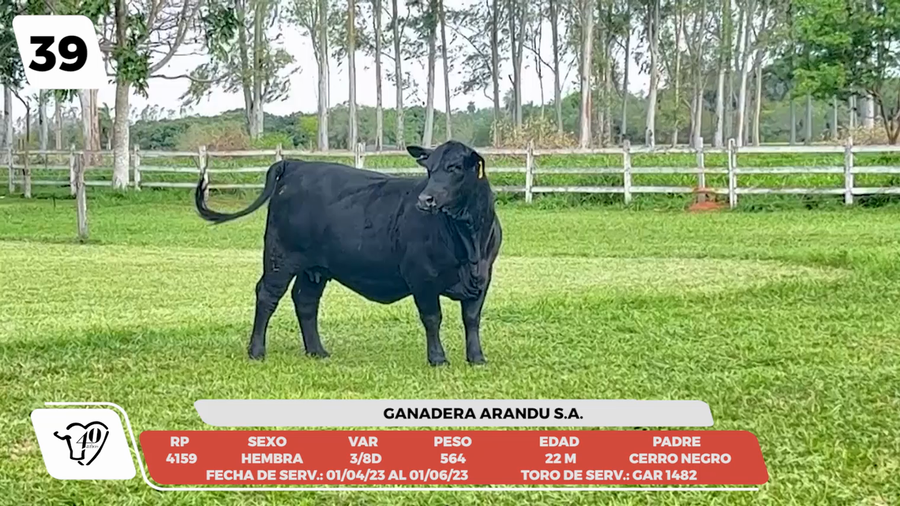 Lote LOTE 39-DE CAMPO