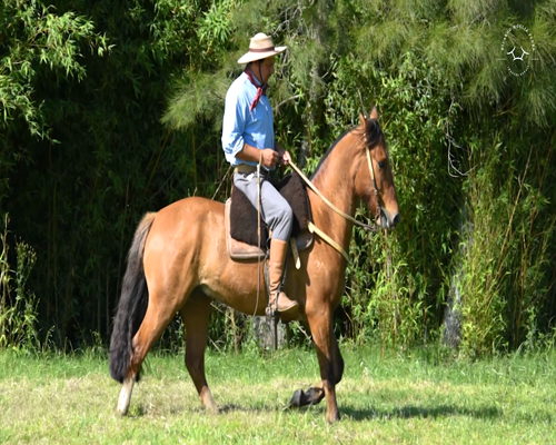 Lote El Gavilán Lorito (RP 380) Cabaña "El Gavilán"