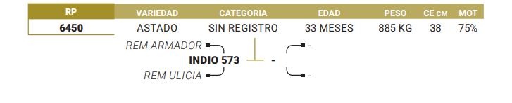 Lote LOTE 15