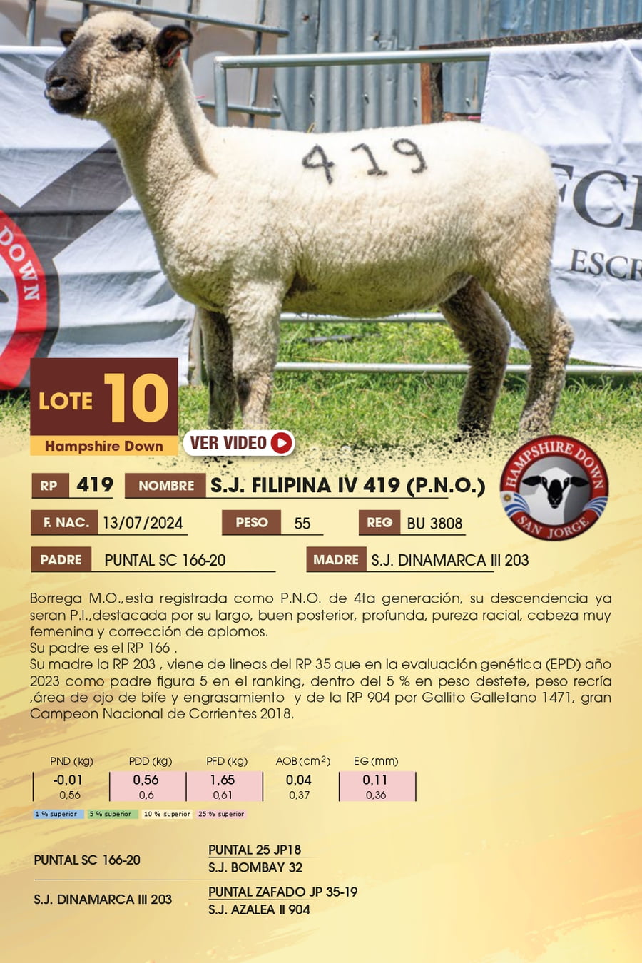 Lote 10 - Hampshire Down