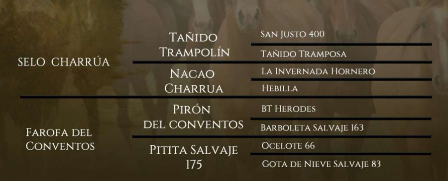 Lote Fragata del Conventos