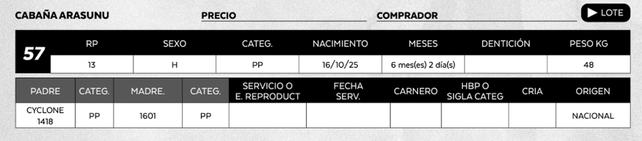 Lote LOTE 57