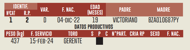 Imagen 2 del Lote Lote LOTE 3