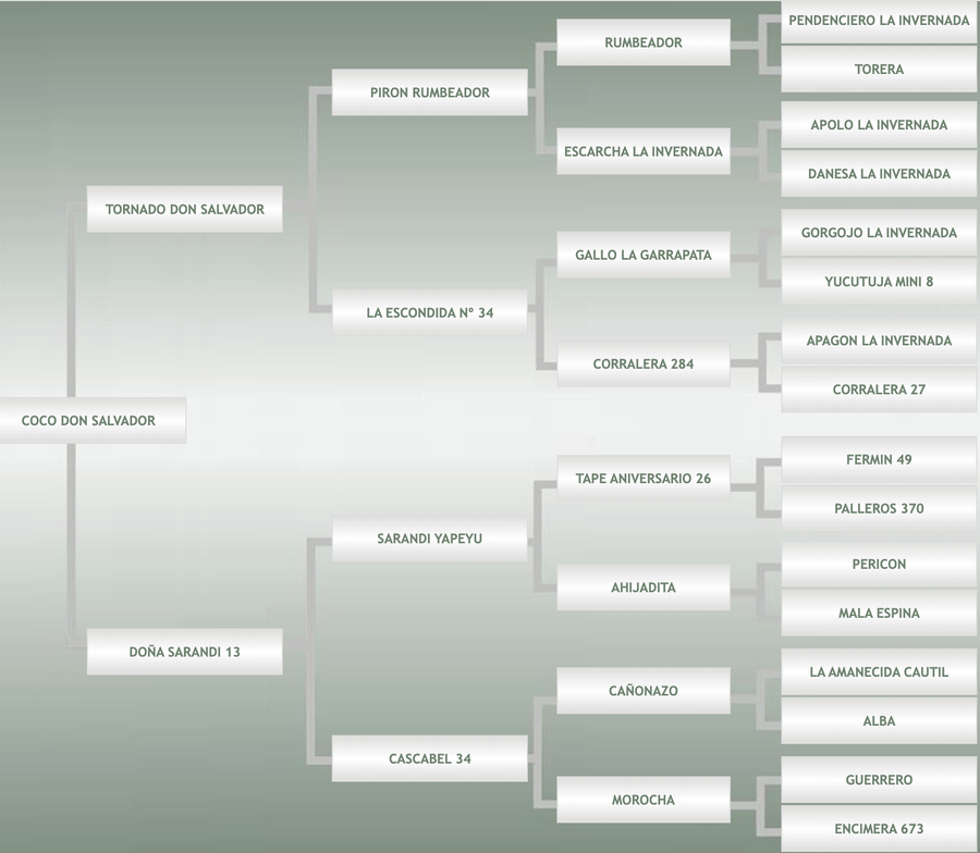Lote Coco Don Salvador