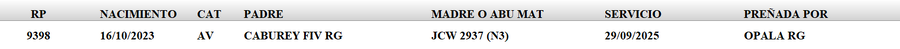 Lote LOTE 3
