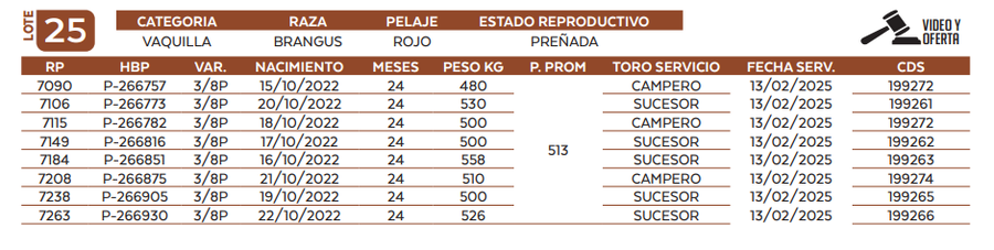 Lote LOTE 25