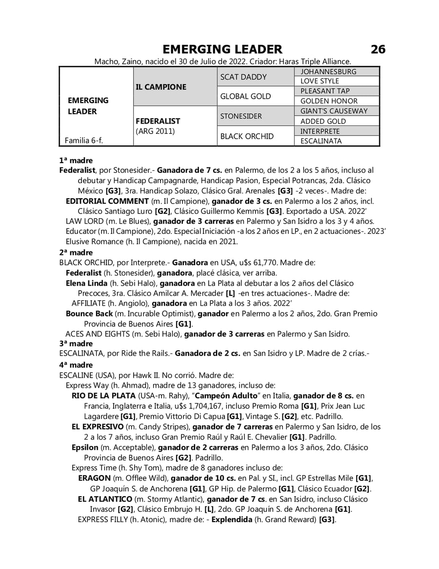 Lote EMERGING LEADER