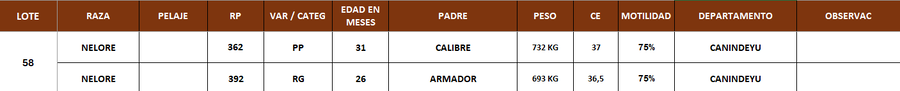 Lote LOTE 58