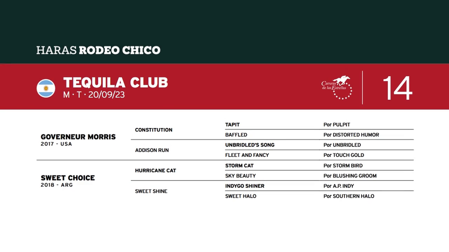 Lote TEQUILA CLUB