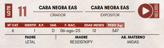 Lote LOTE 11 - TERNERAS DE CORRAL