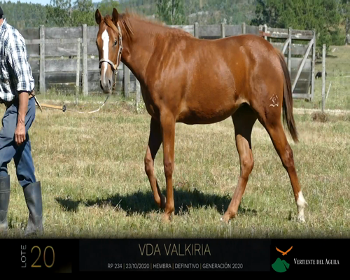 Lote VDA VALKIRIA