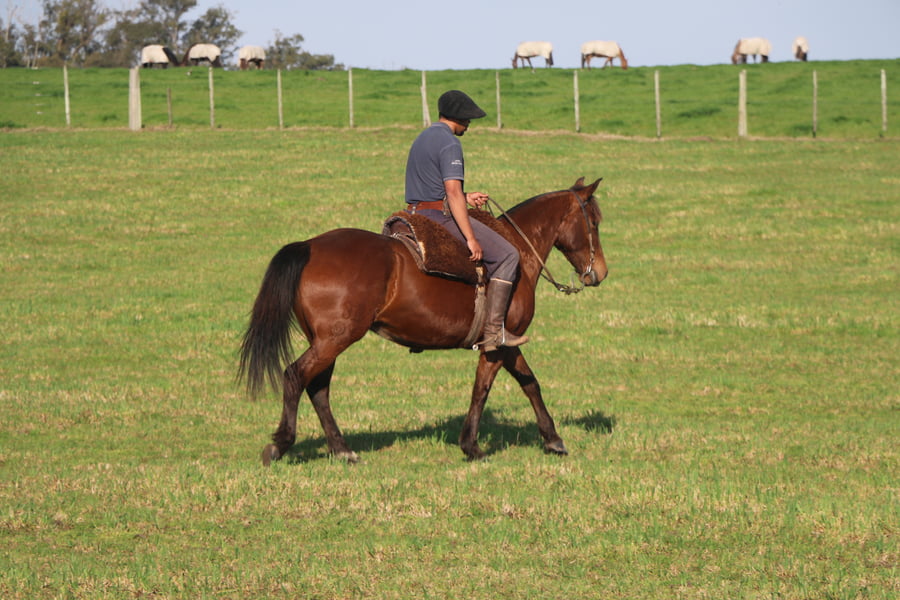 Lote ESCONDIDA DEL CONVENTOS