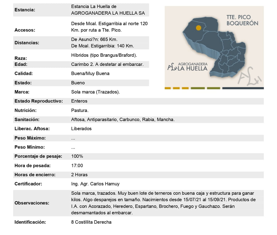 Lote Lote 14